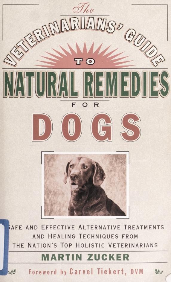 The veterinarians' guide to natural remedies for dogs : safe and effective  alternative treatments and healing techniques from the nation's top holistic  veterinarians : Zucker, Martin, 1937- : Free Download, Borrow, and  Streaming : Internet Archive